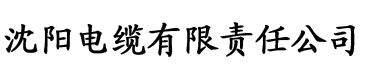 色yeye在线视频观看电缆厂logo